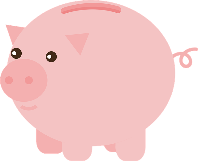 loans