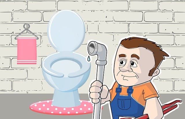 Local Plumber Arvada