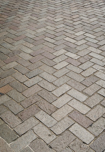LVT Flooring Denver