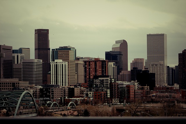Mold Remediation Denver