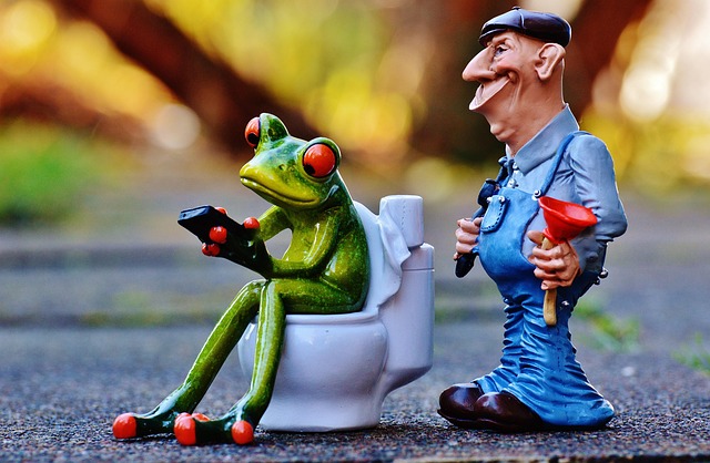 Plumber Near Me Arvada