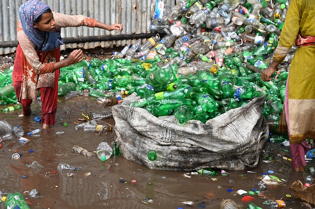 Sewage Backup Cleanup Denver