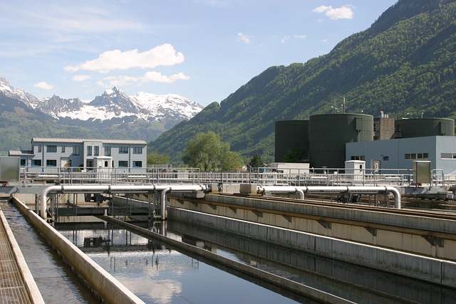Sewage Backup Cleanup Denver