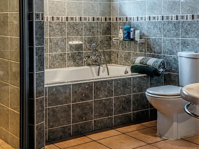 Shower Plumbing Services Arvada