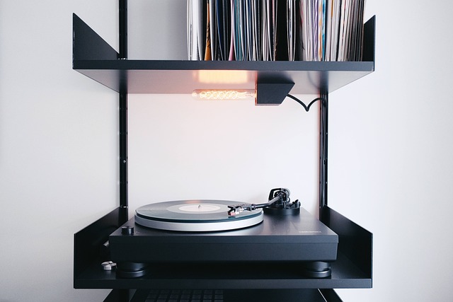 Vinyl Flooring Denver