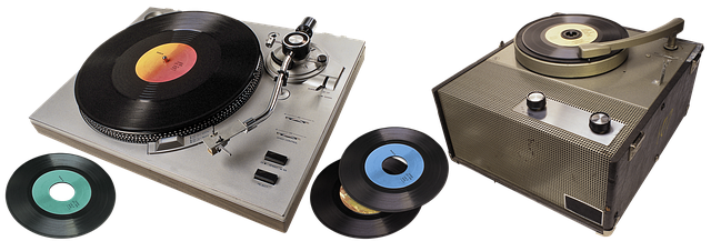 Vinyl Flooring Denver
