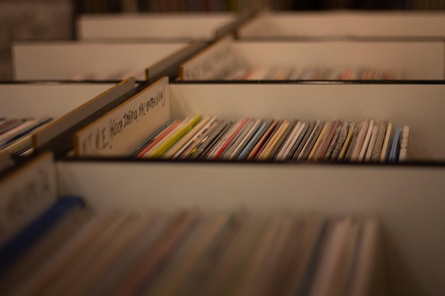 Vinyl Flooring Denver