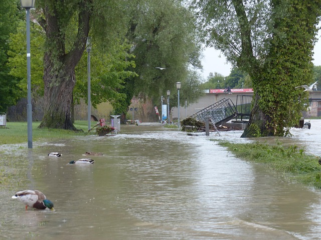 Water Damage Cleanup Denver