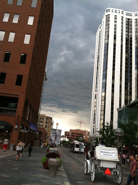 Water Damage Mitigation Denver