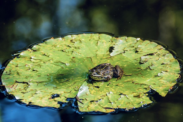 Water Damage Mitigation Denver