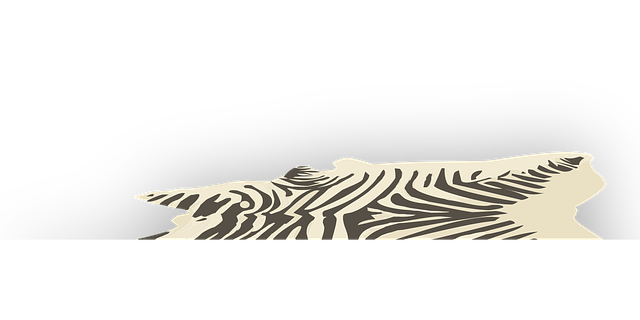 Area Rugs Denver