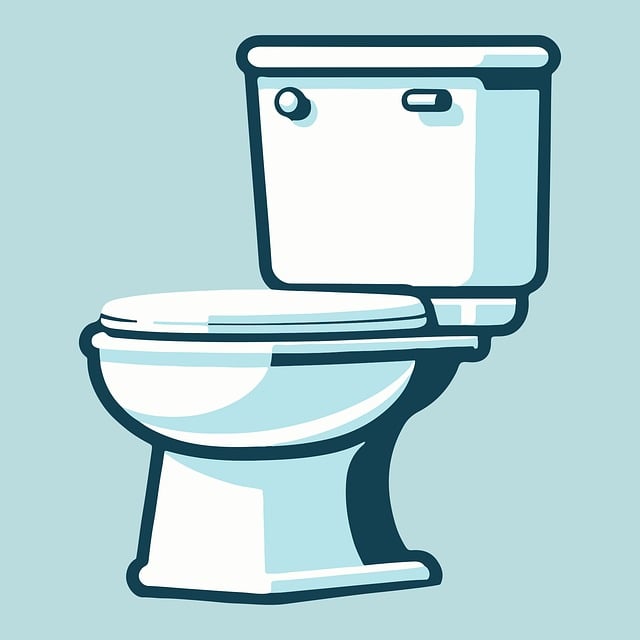 Arvada Plumbing Experts
