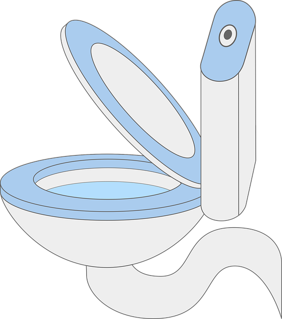 Arvada Plumbing Experts