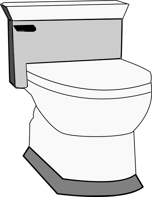 Arvada Plumbing Experts