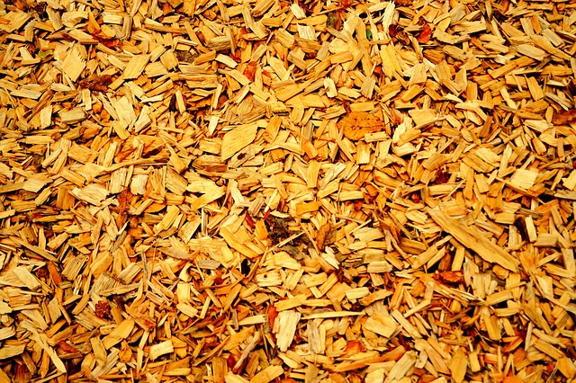 Basement Flooring Denver