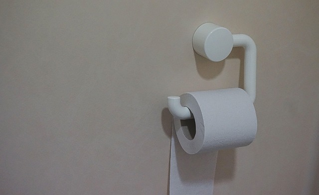Bathroom Plumbing Arvada