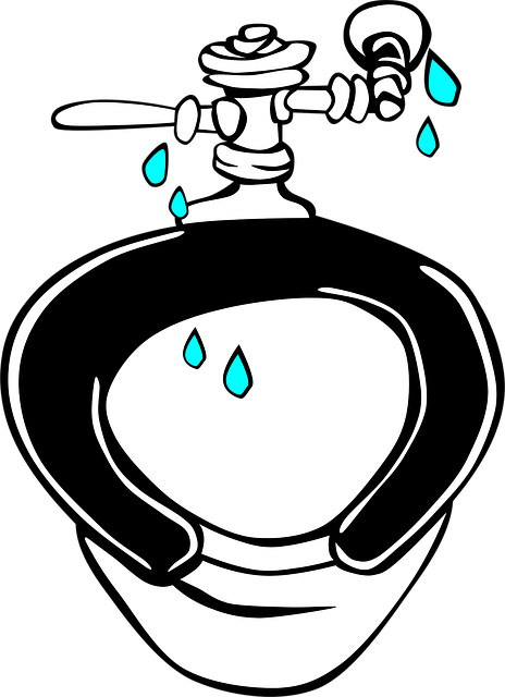 Bathroom Plumbing Arvada