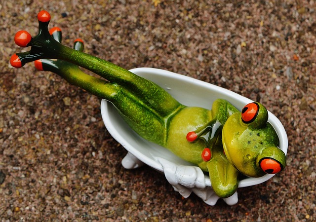 Bathtub Installation Services Arvada