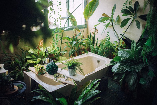 Bathtub Installation Services Arvada
