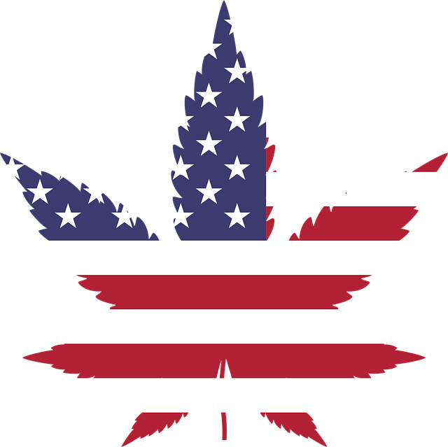 cannabis