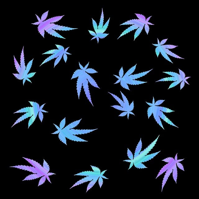 cannabis-640x480-70986648.jpeg