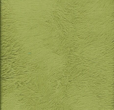 carpet-cleaning-denver-640x480-19230407.jpeg