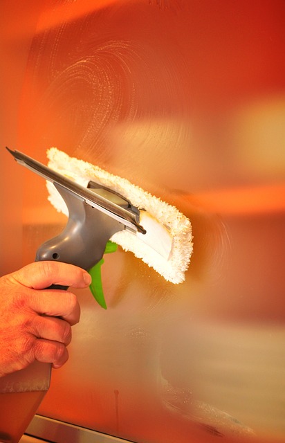 Carpet Cleaning Denver