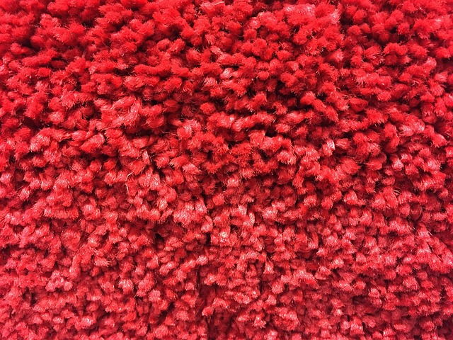 Carpet Denver