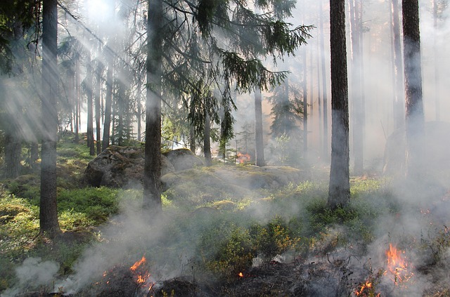 Commercial Fire Restoration Denver
