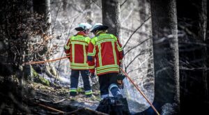 commercial-fire-restoration-denver-640x480-91820783.jpeg