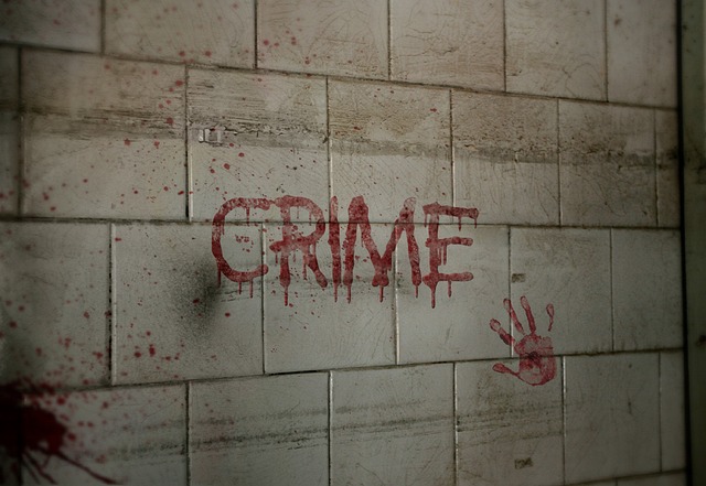 Criminal Defense Lawyer Denver