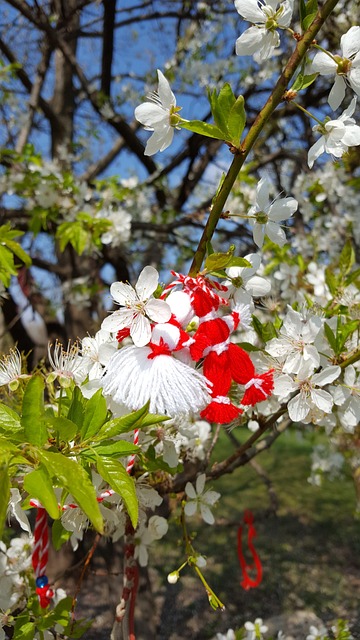 Custom Bathtub Installation Arvada