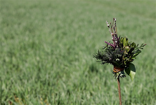 Custom Flooring Denver