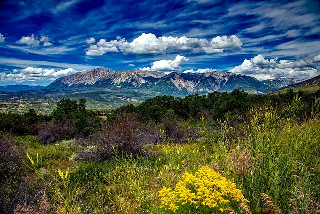 Deferred DUI Attorney Colorado