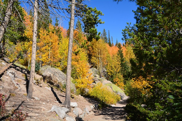 Deferred DUI Attorney Colorado