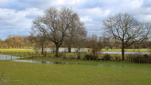 Denver Flood Cleanup