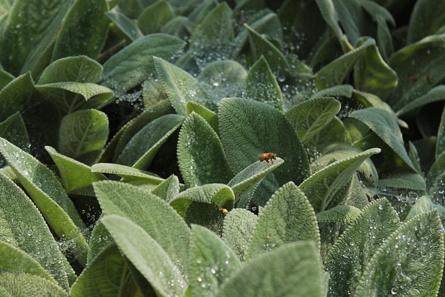 Denver Flood Cleanup