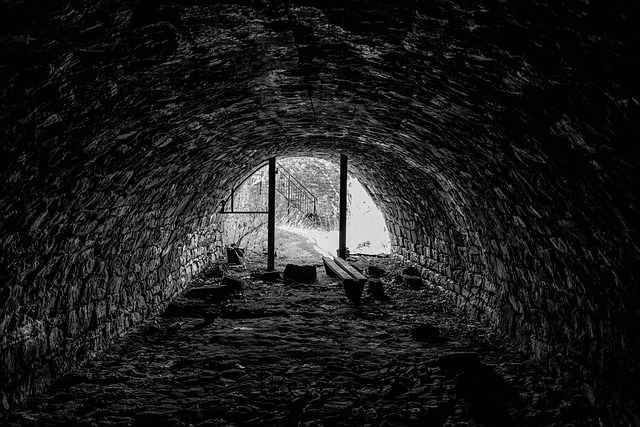 Denver Sewage Remediation