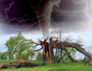 denver-water-damage-experts-640x480-83380446.jpeg