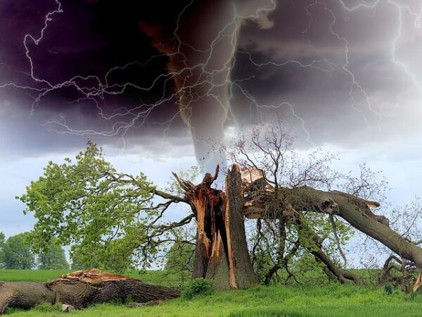 denver-water-damage-experts-640x480-83380446.jpeg