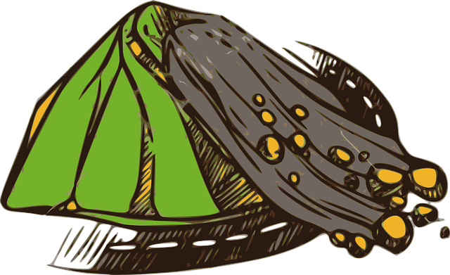 Disaster Cleanup Services Denver