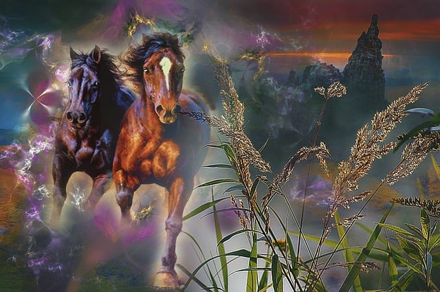 Dishwasher Installation Services Arvada