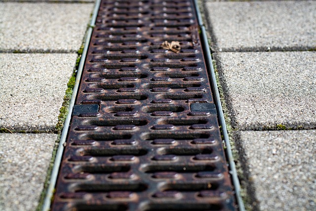 Drain Cleaning Arvada