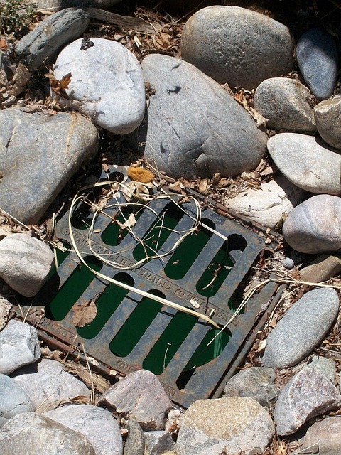 Drain Cleaning Arvada