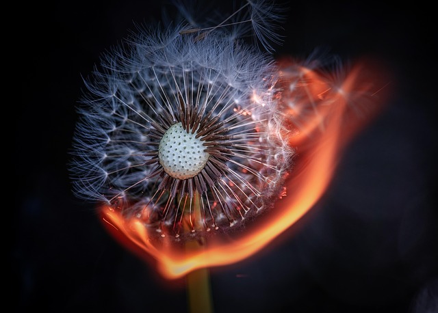 DUI Ignition Interlock Attorney Denver