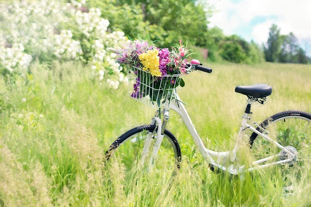 DUI on Bicycle Lawyer Colorado