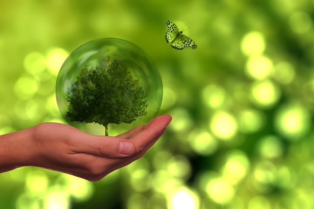 Eco-Friendly Flooring Denver
