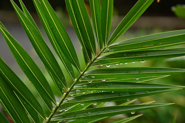 Eco-Friendly Flooring Denver