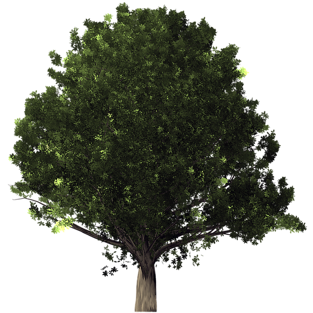 Eco-Friendly Flooring Denver