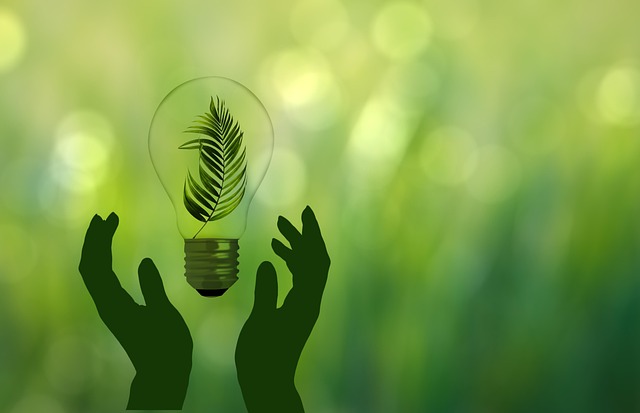 Eco-Friendly Flooring Denver